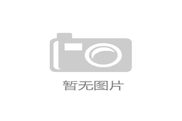 乌兹别克斯坦能否创造历史 2026世界杯首秀或成亚洲新黑马